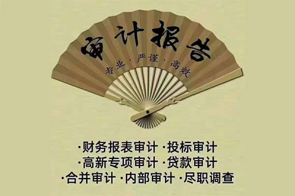 投標(biāo)審計(jì)報(bào)告